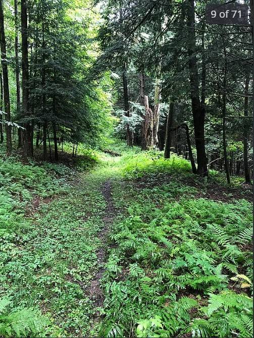 #55 photo, 161 RIDGE RD., SOUTH OTSELIC , NY 13155