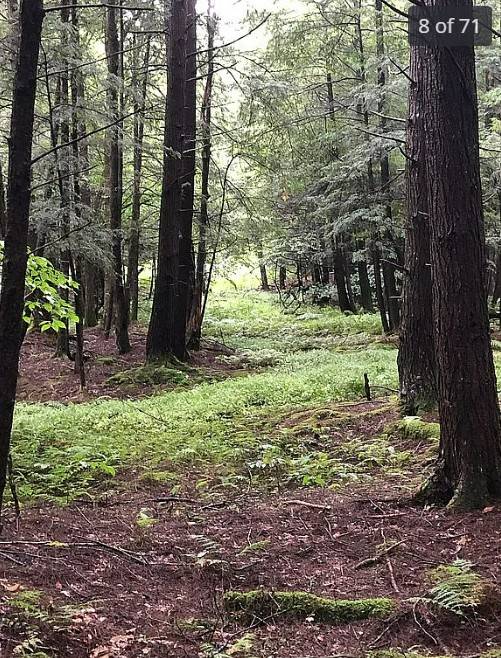 #56 photo, 161 RIDGE RD., SOUTH OTSELIC , NY 13155