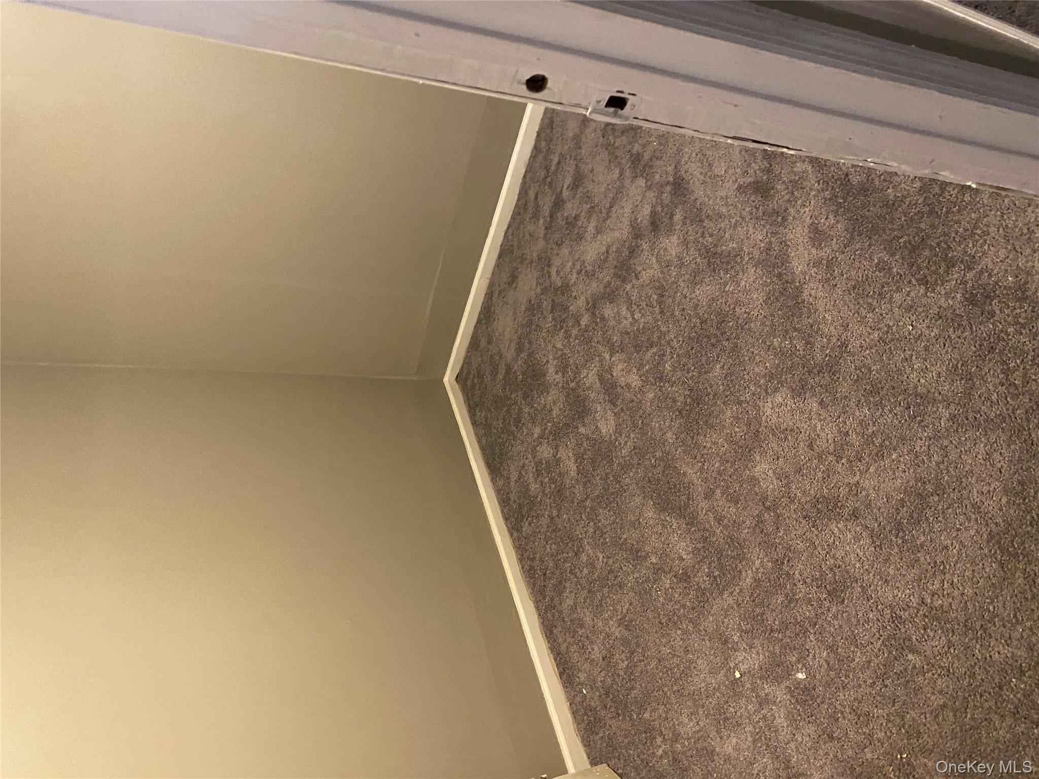 #6 photo, 769 E 223rd Street, Bronx , NY 10466