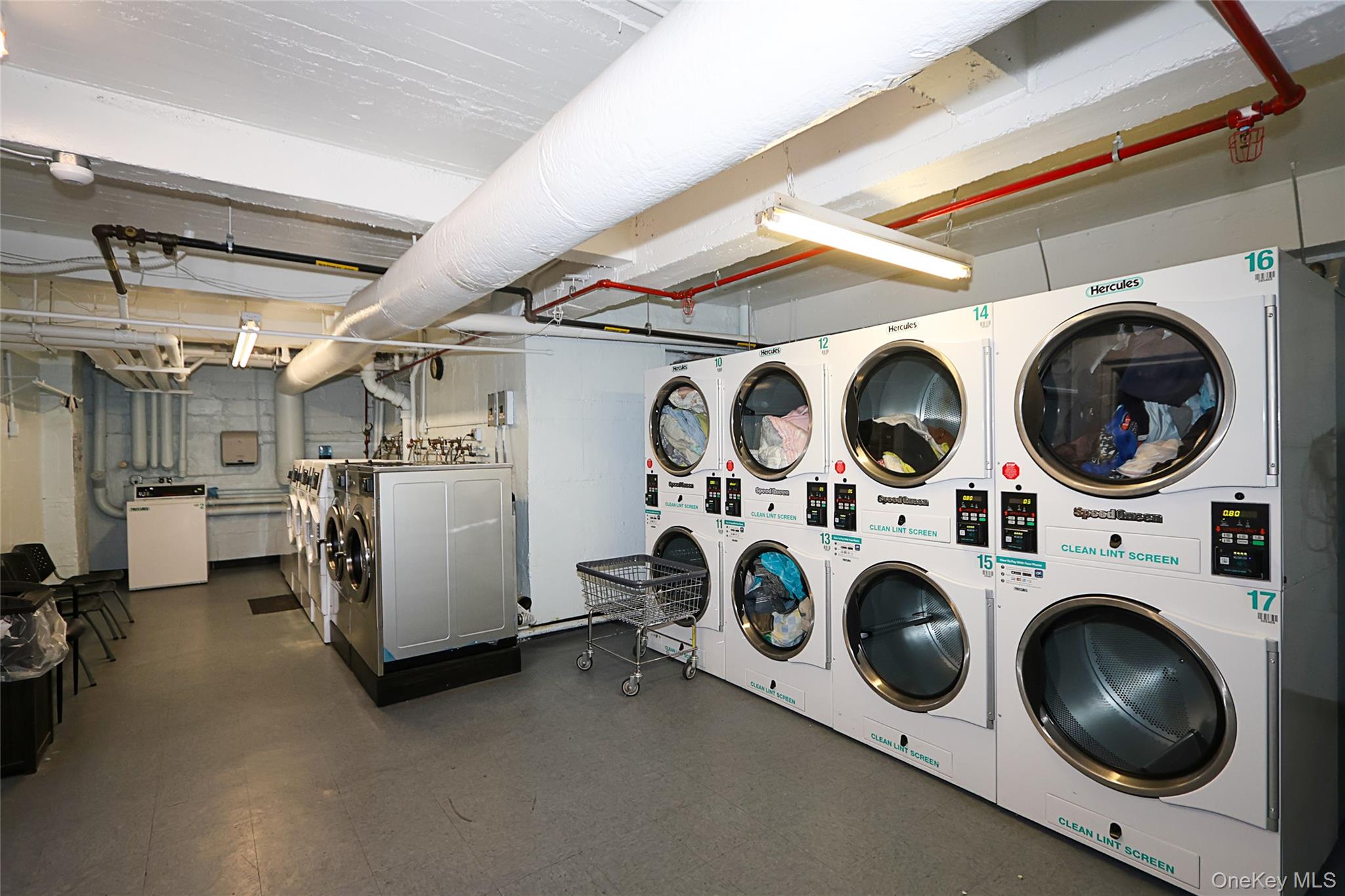 #19 photo, 224-24 Union Turnpike, कुईंस Oakland Gardens , NY 11364