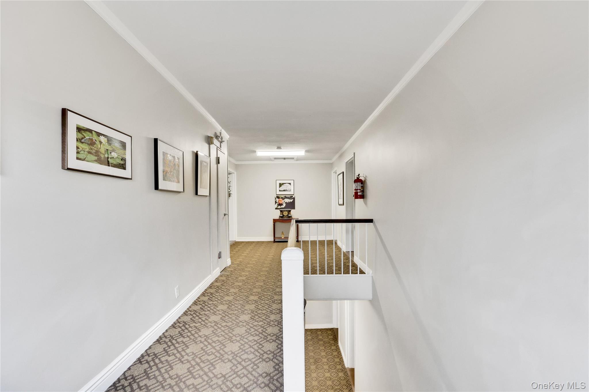 #8 photo, 1201 E Broadway, Hewlett , NY 11557