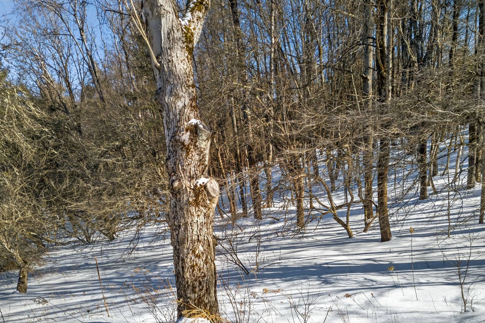 #10 photo, L29 County Highway 45, Hartwick , NY 13807