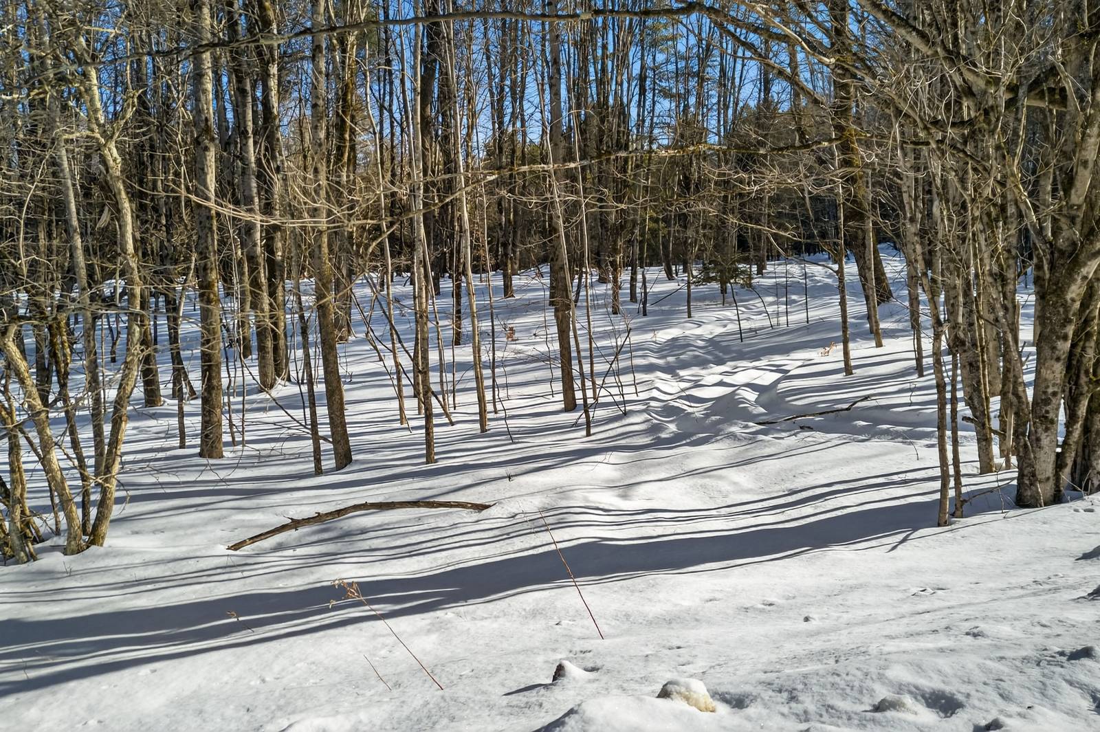 #11 photo, L29 County Highway 45, Hartwick , NY 13807