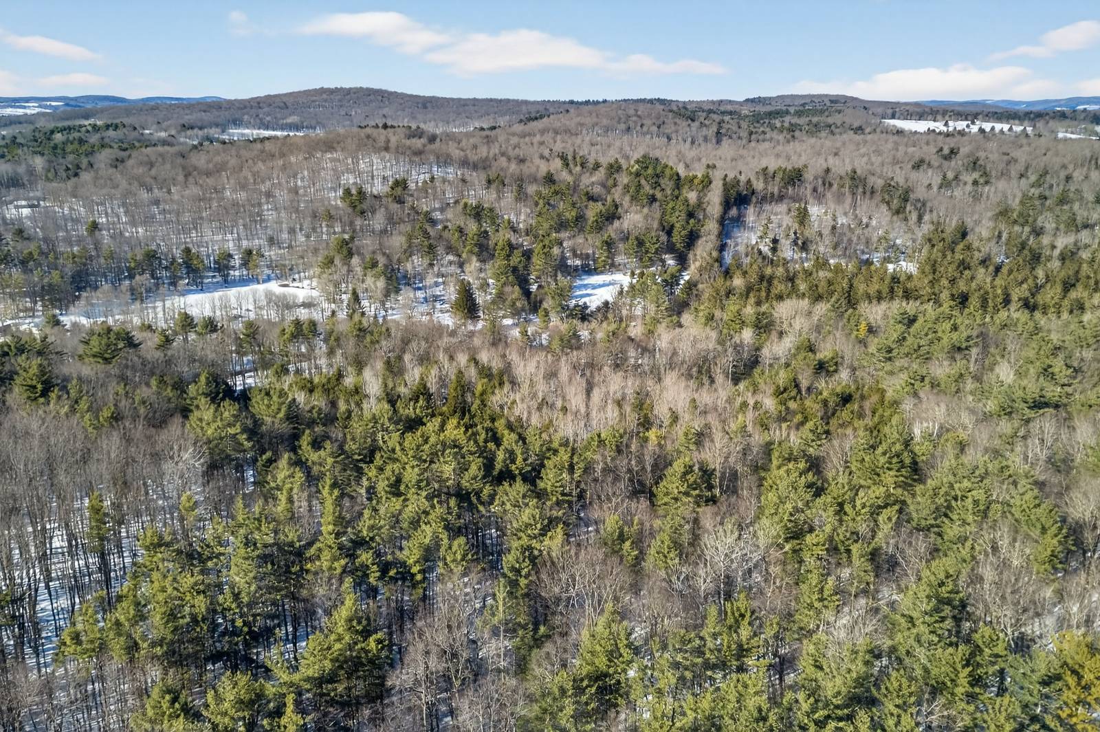 #13 photo, L29 County Highway 45, Hartwick , NY 13807