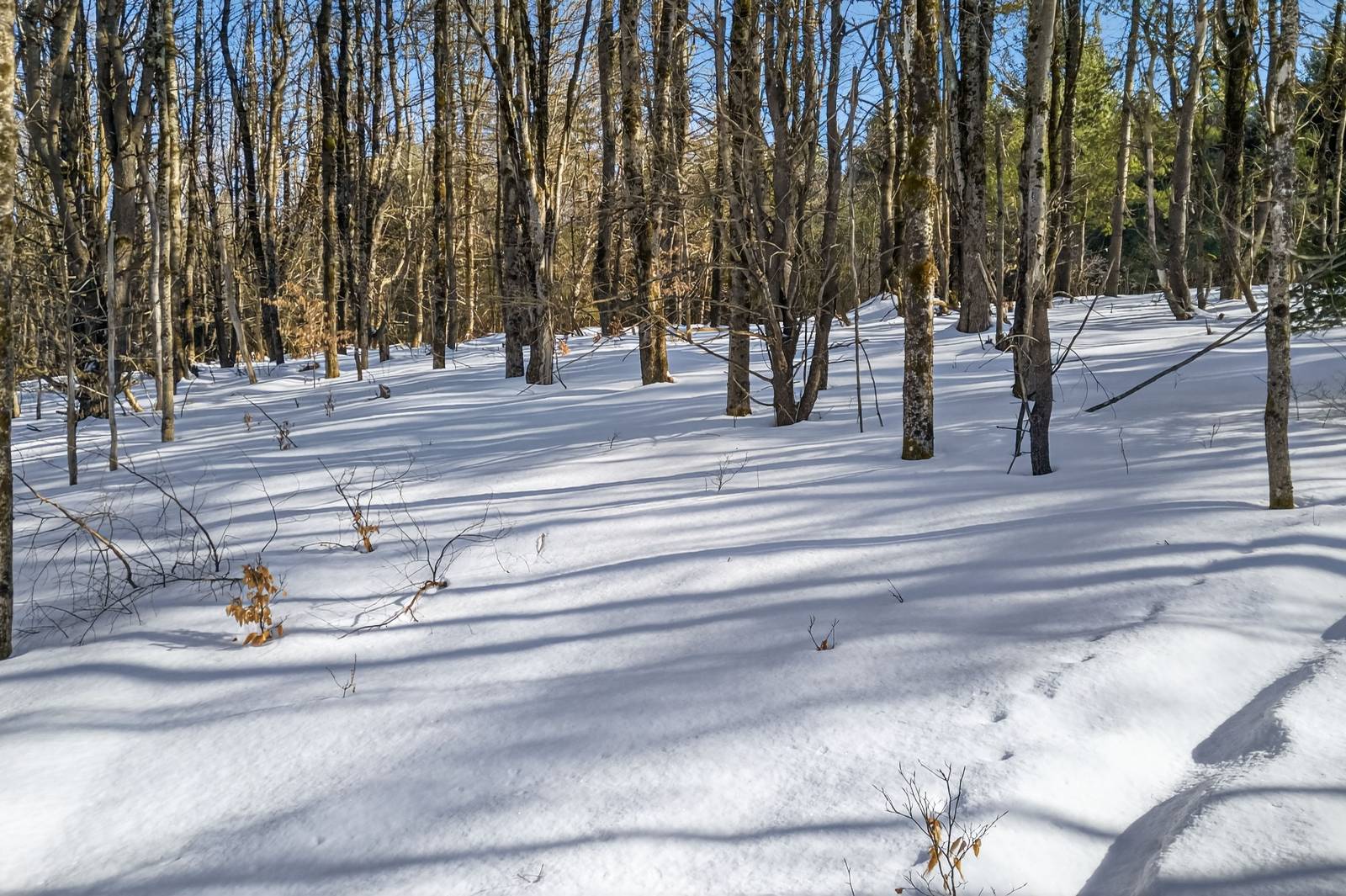 #15 photo, L29 County Highway 45, Hartwick , NY 13807