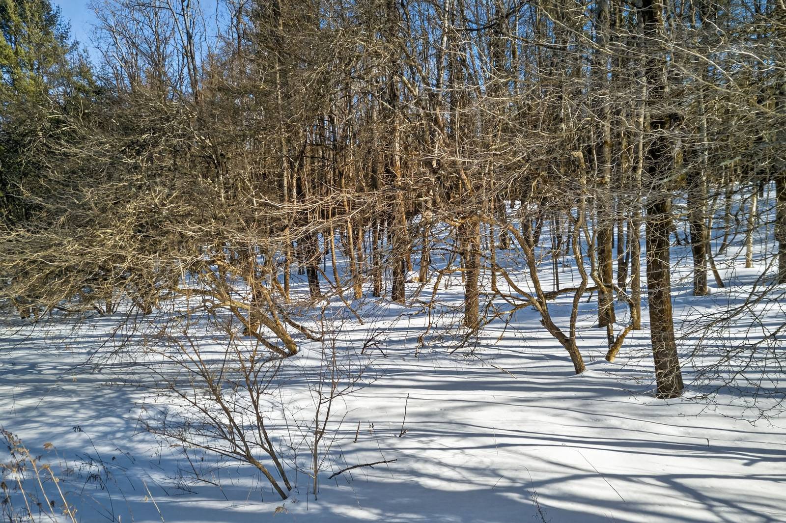 #18 photo, L29 County Highway 45, Hartwick , NY 13807