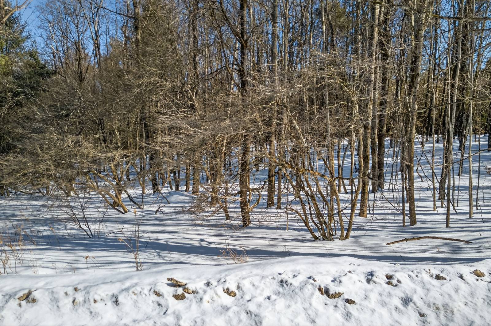 #19 photo, L29 County Highway 45, Hartwick , NY 13807