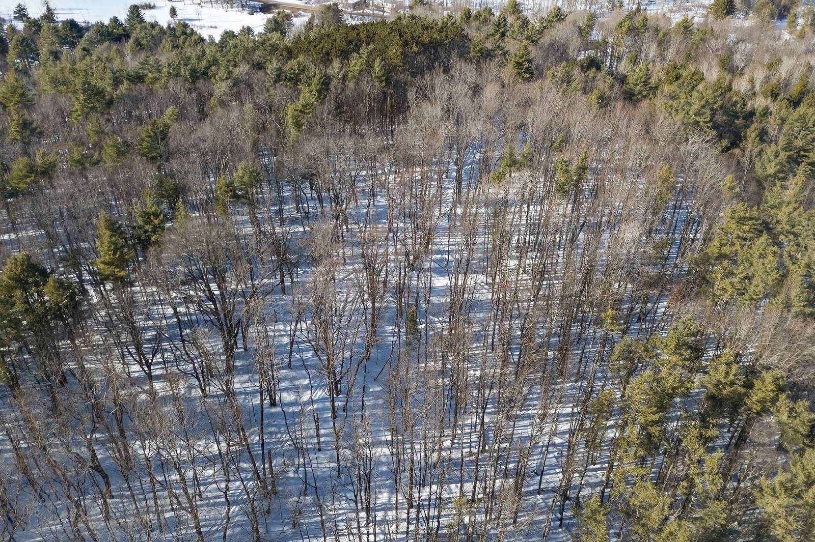 #4 photo, L29 County Highway 45, Hartwick , NY 13807