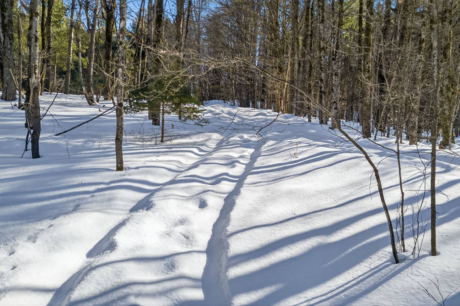 #6 photo, L29 County Highway 45, Hartwick , NY 13807