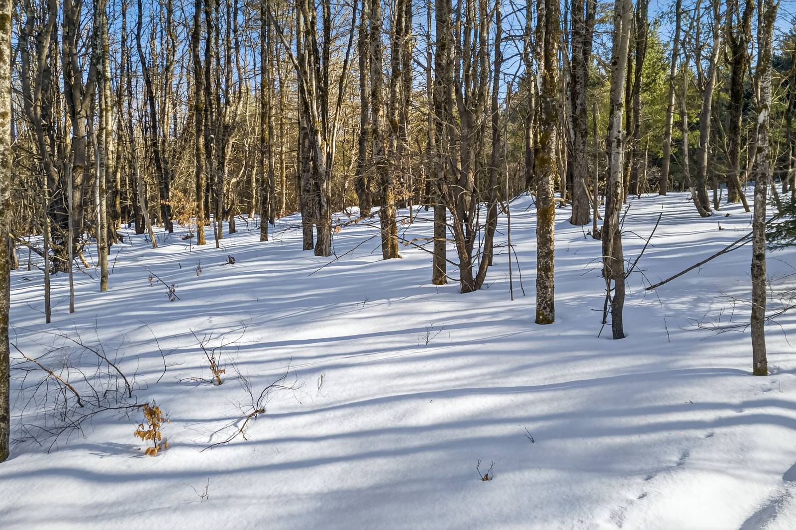 #7 photo, L29 County Highway 45, Hartwick , NY 13807