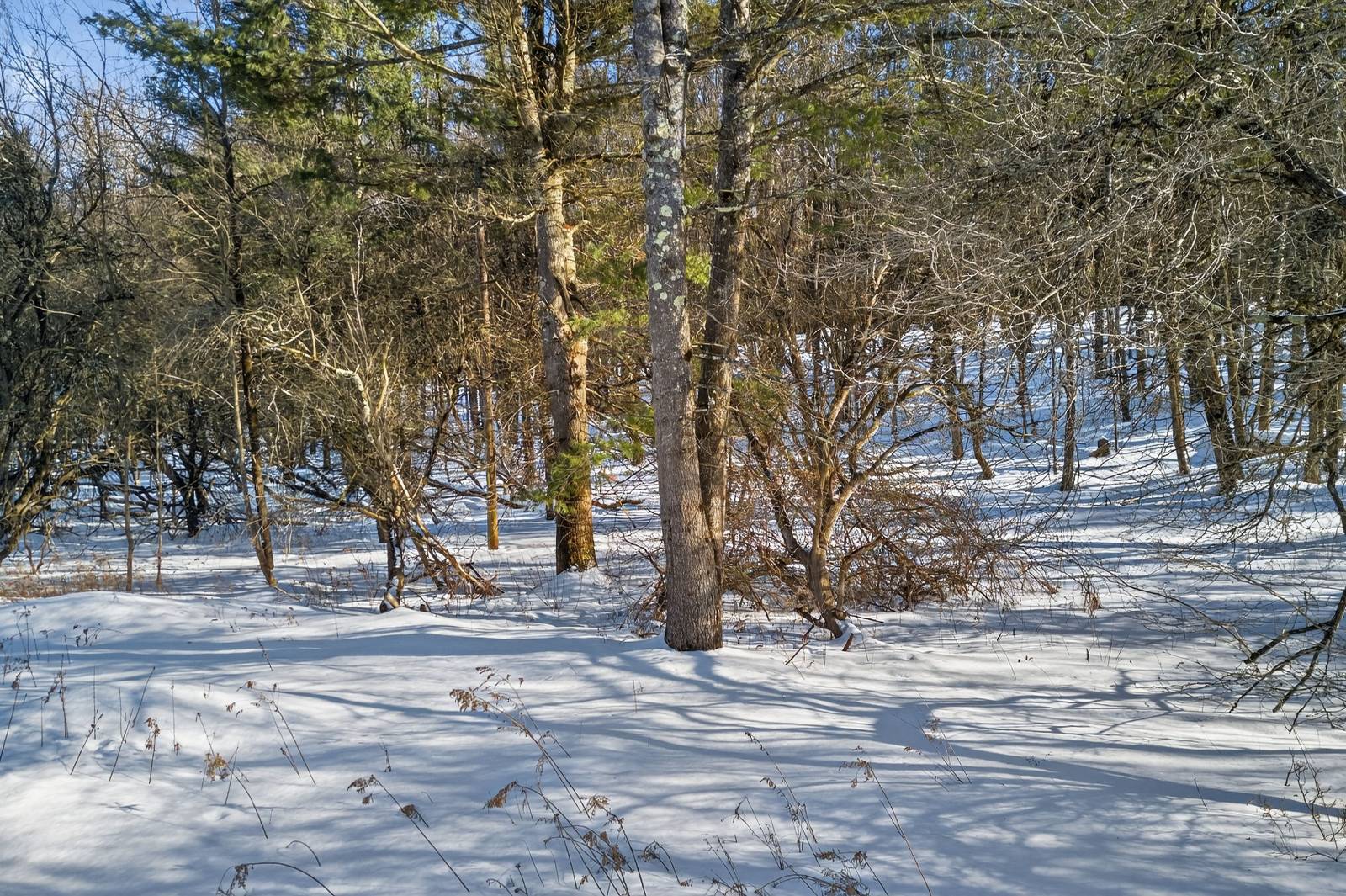 #8 photo, L29 County Highway 45, Hartwick , NY 13807