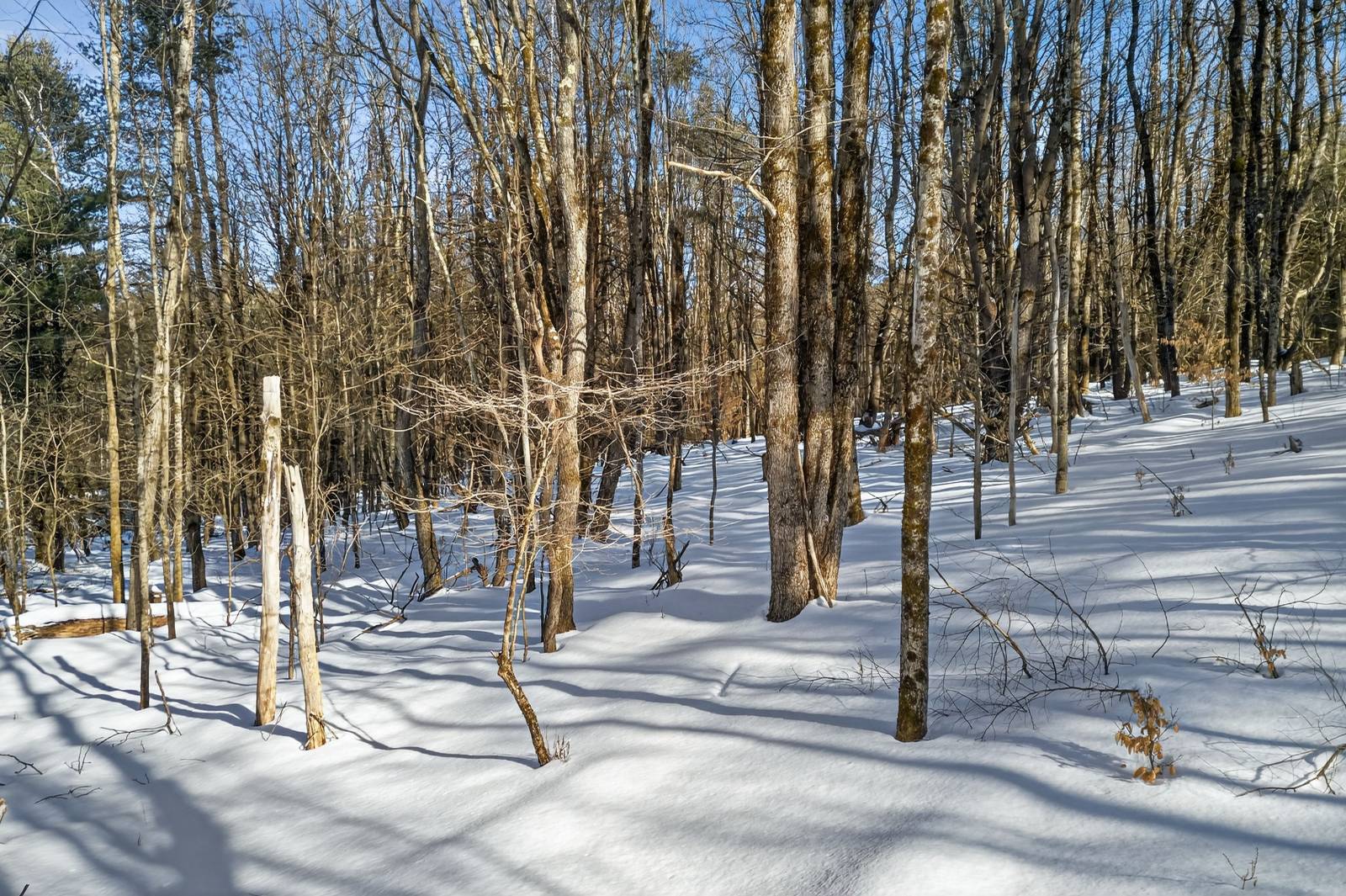 #9 photo, L29 County Highway 45, Hartwick , NY 13807