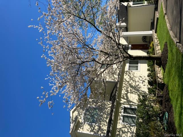 #3 photo, 9 Meadowbrook Lane, Нассау ‖ Old Westbury , NY 11568