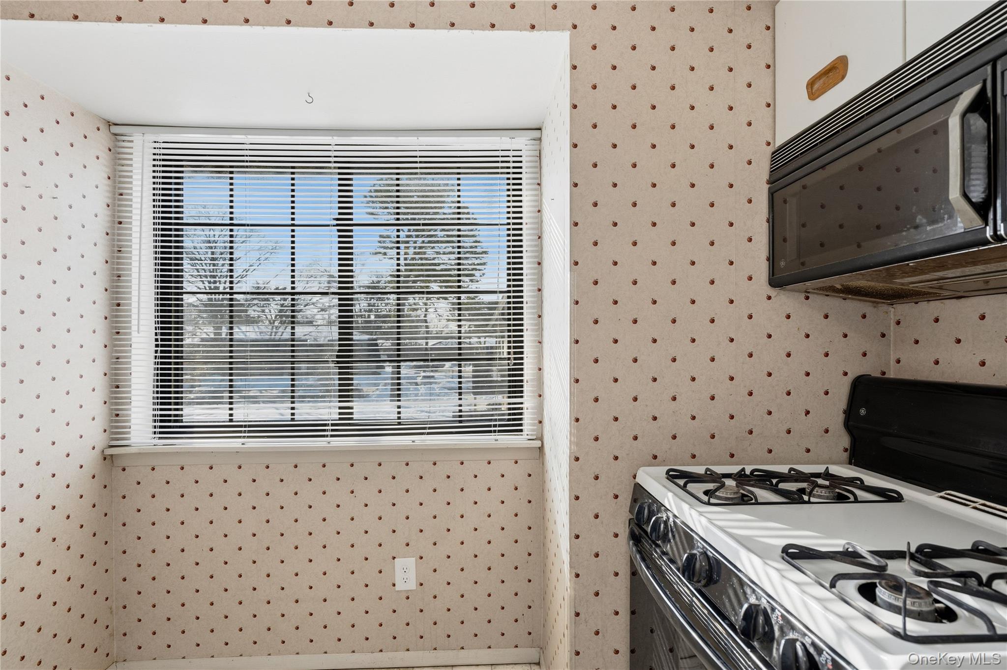 #17 photo, 19 Newbrook, Bay Shore , NY 11706