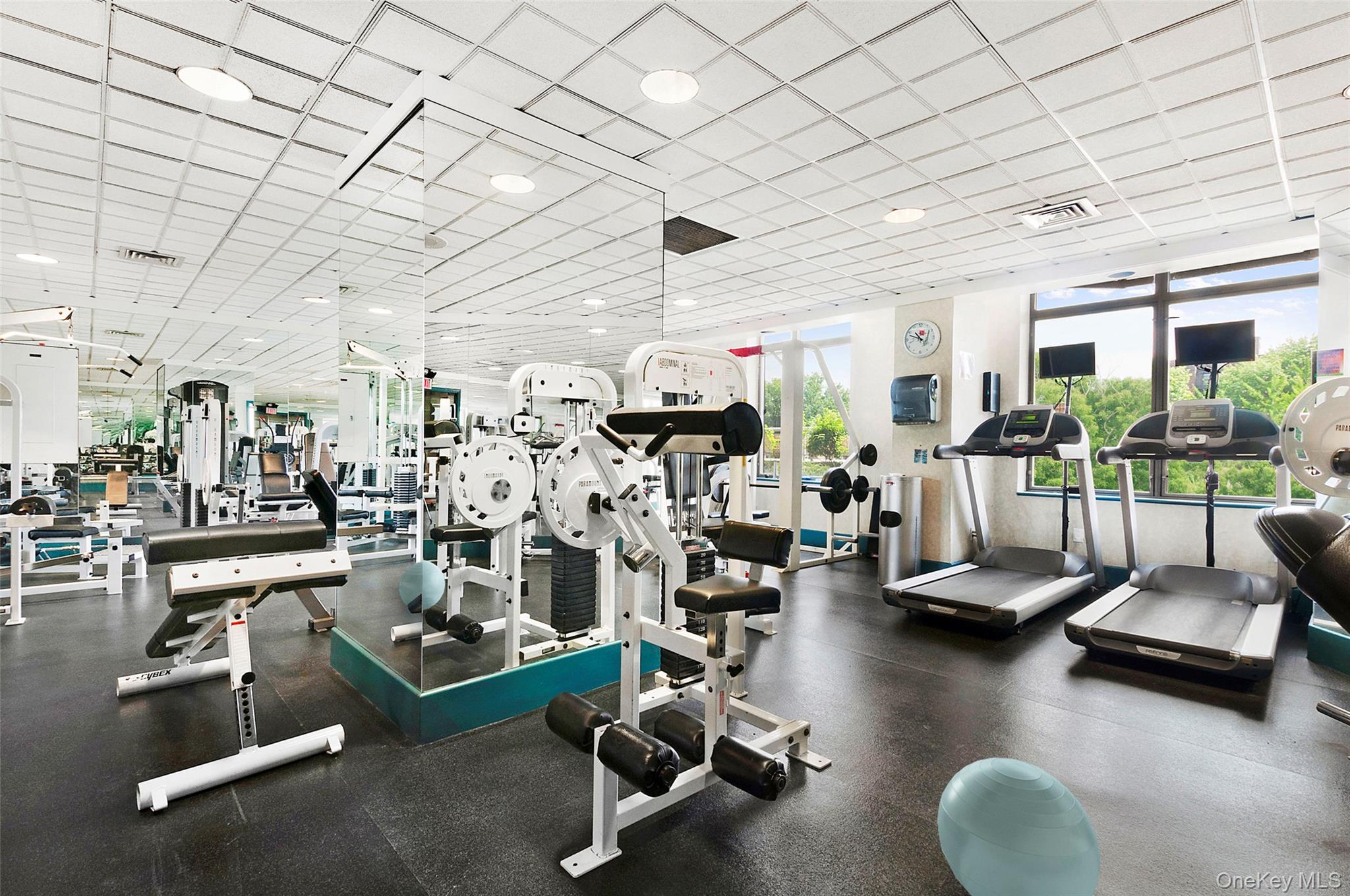 #17 photo, 112-01 Queens Boulevard, קווינס Forest Hills , NY 11375