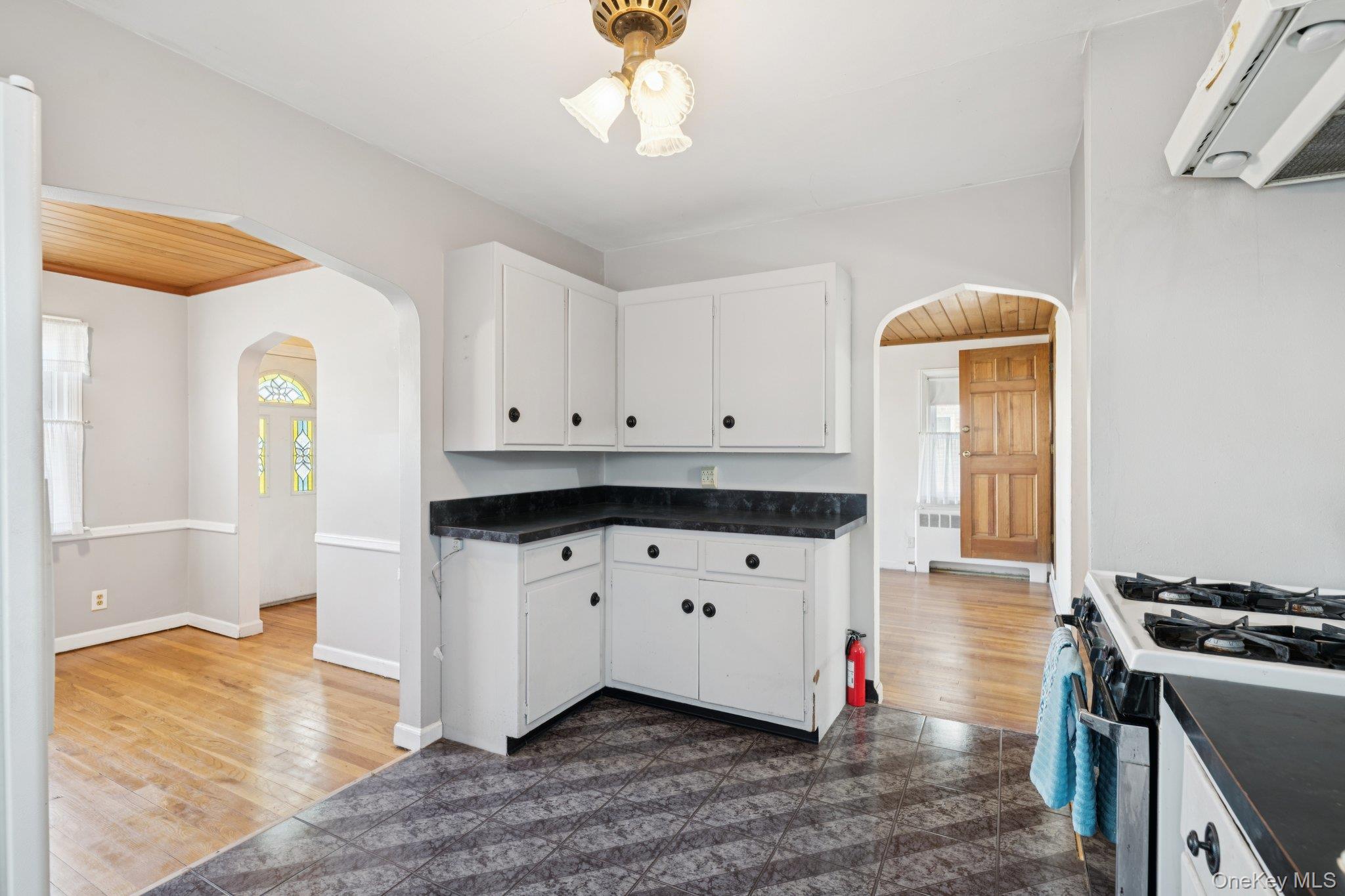 #11 photo, 444 Carnation Avenue, 长岛 Floral Park , NY 11001