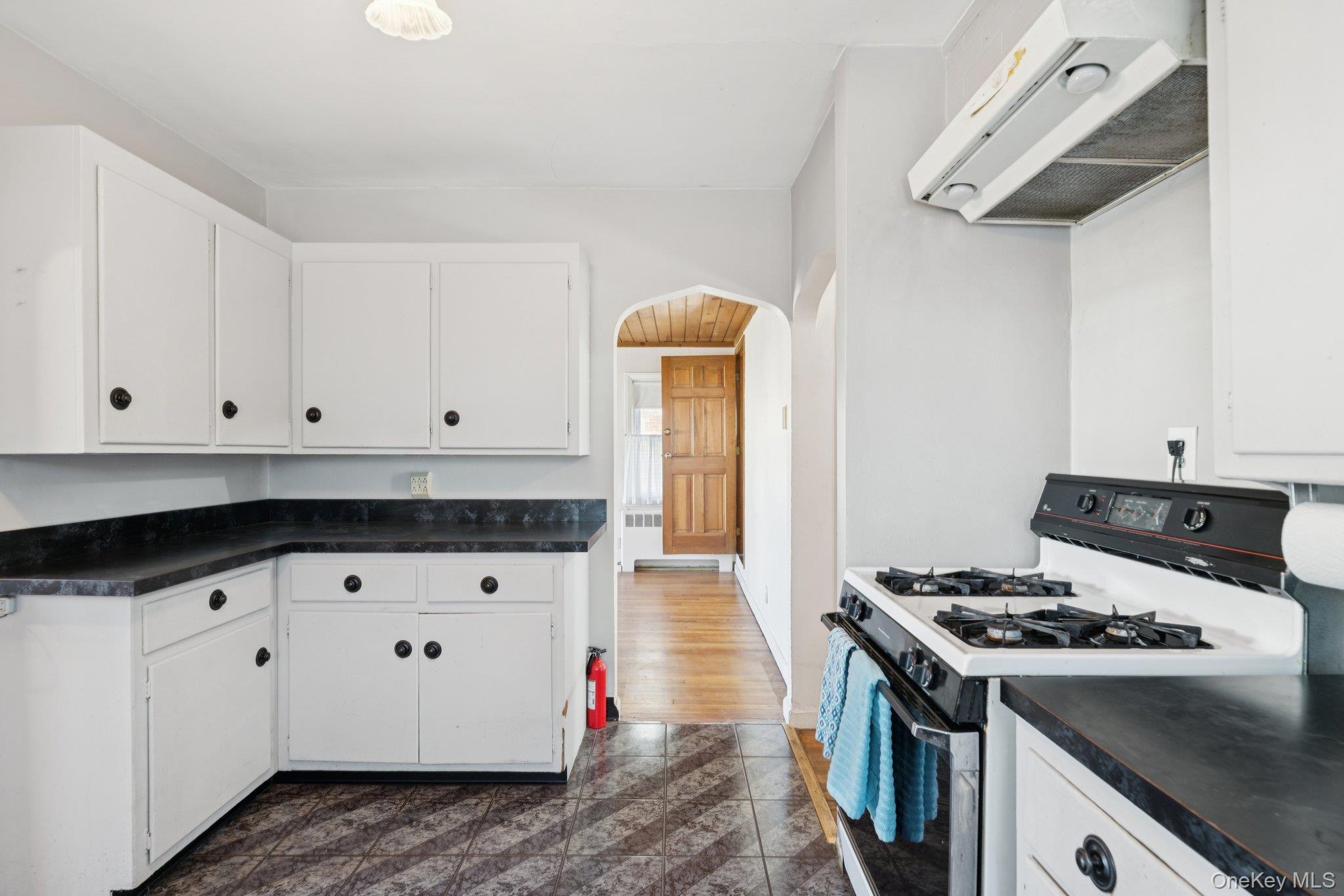 #12 photo, 444 Carnation Avenue, 长岛 Floral Park , NY 11001