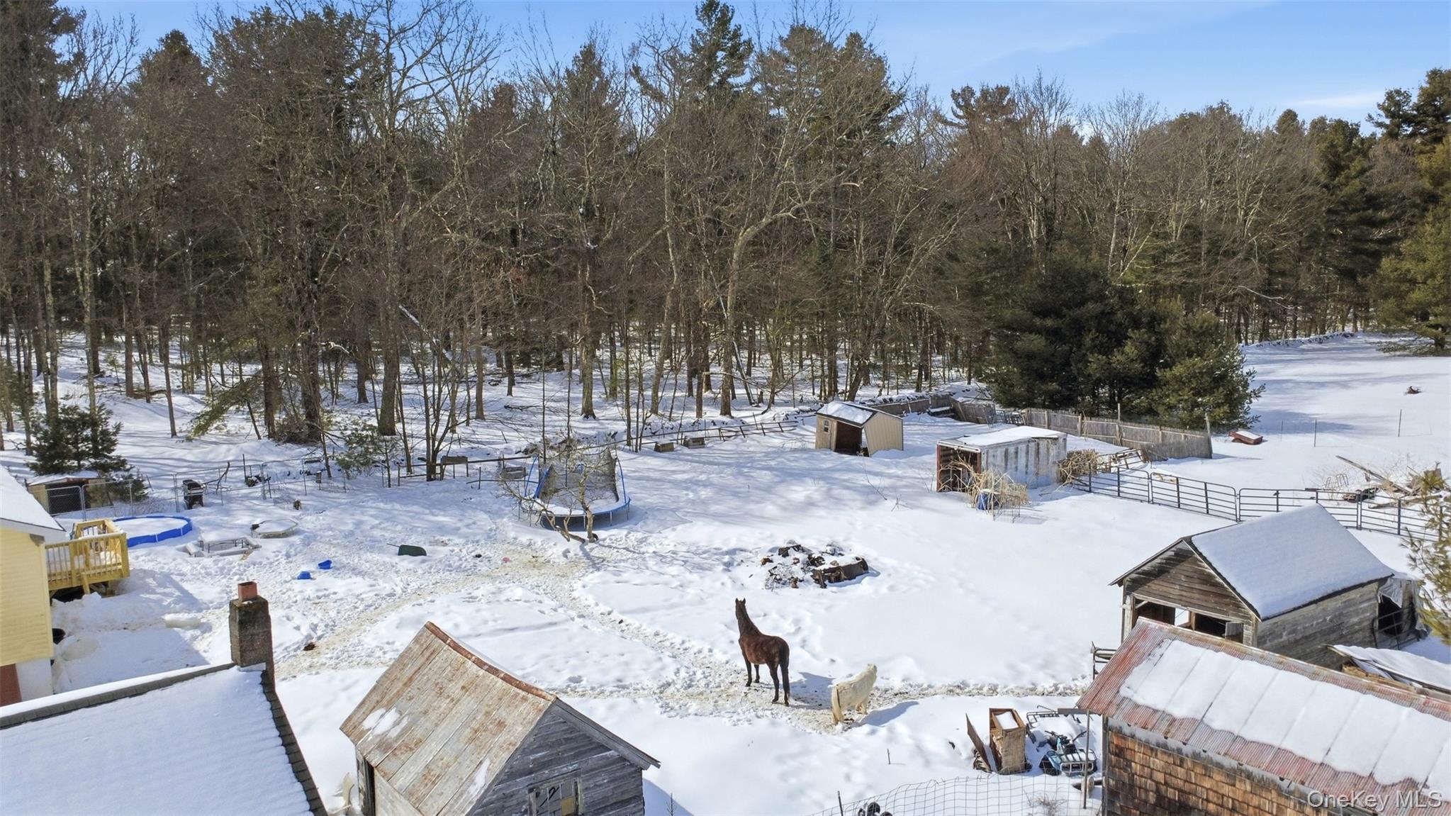 #8 photo, 101 Ogden Road, Glen Spey , NY 12737