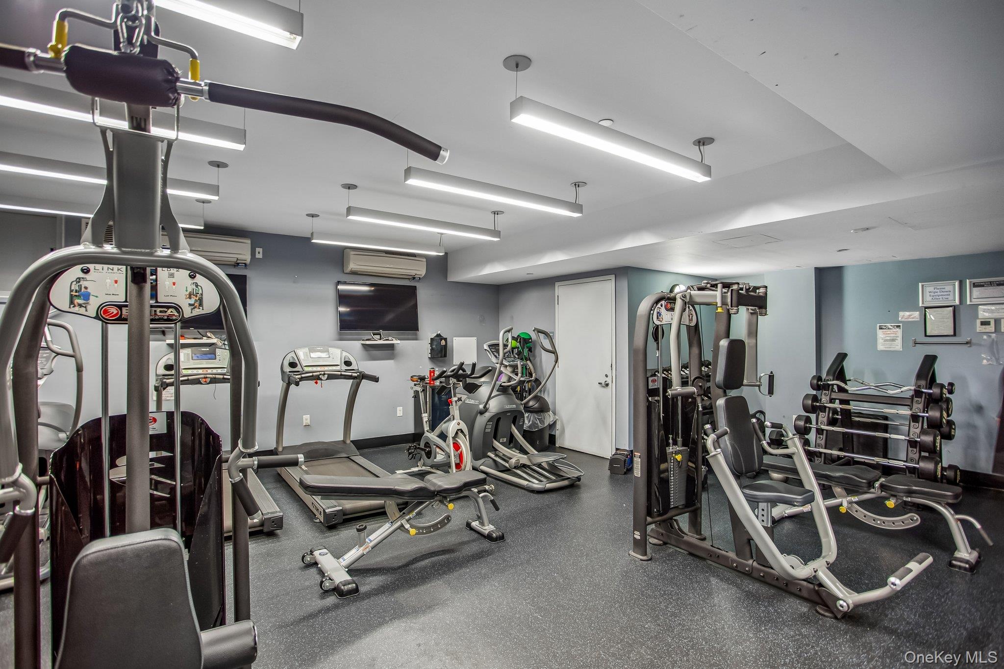 #13 photo, 535 W 52nd Street, New York (Manhattan) , NY 10019