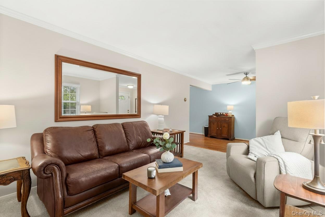 #4 photo, 123 Park Avenue, 东长岛 Amityville , NY 11701