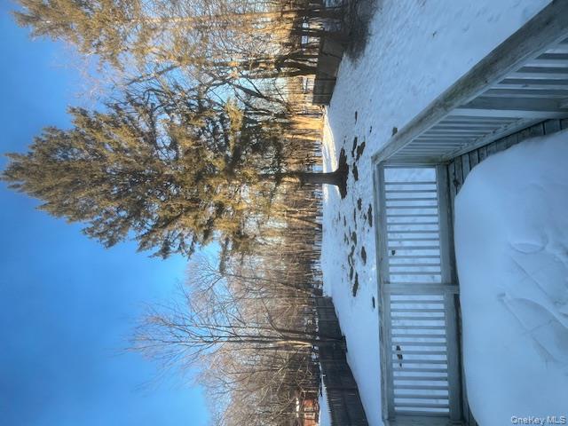 #10 photo, 35 Starr Avenue, Monticello , NY 12701