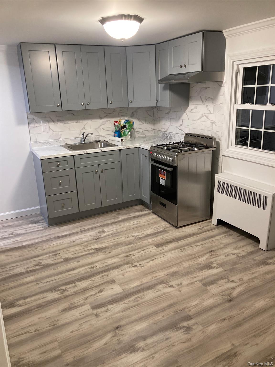 #2 photo, 29 Lexington Avenue, 长岛 西布雷 Westbury , NY 11590