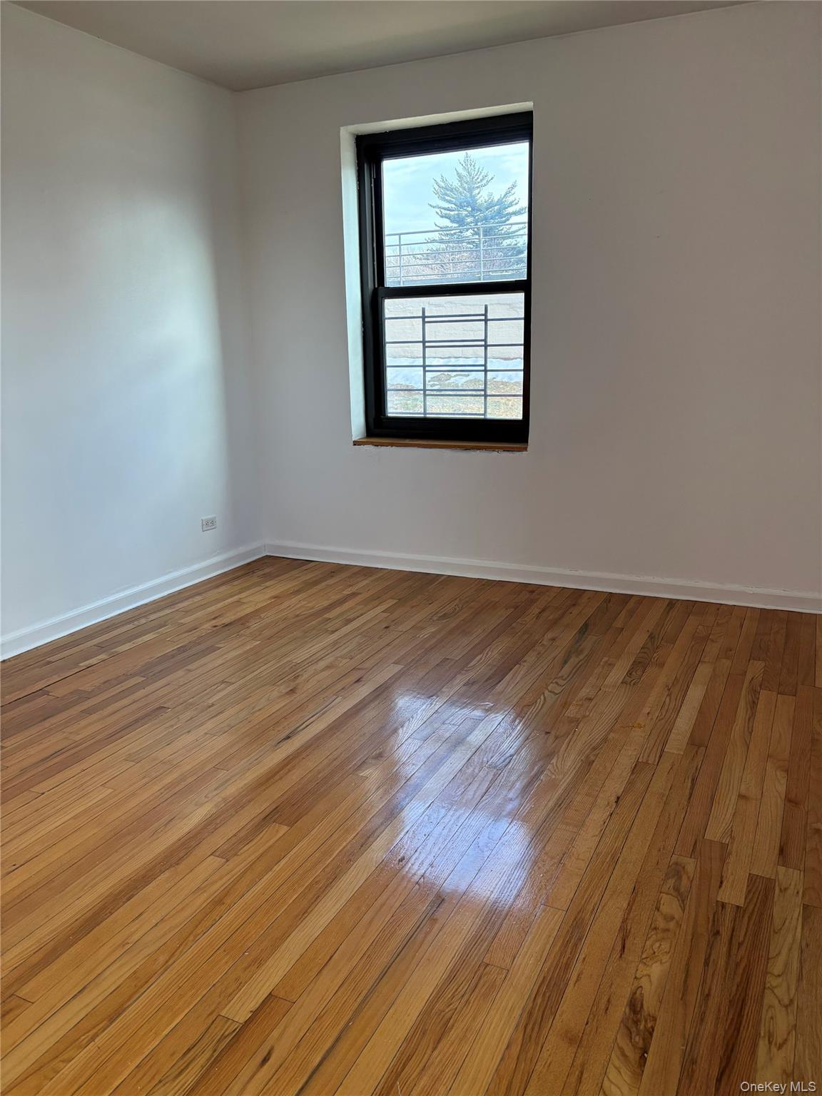 #8 photo, 73-11 Bell Boulevard, 皇后区 Bayside , NY 11364