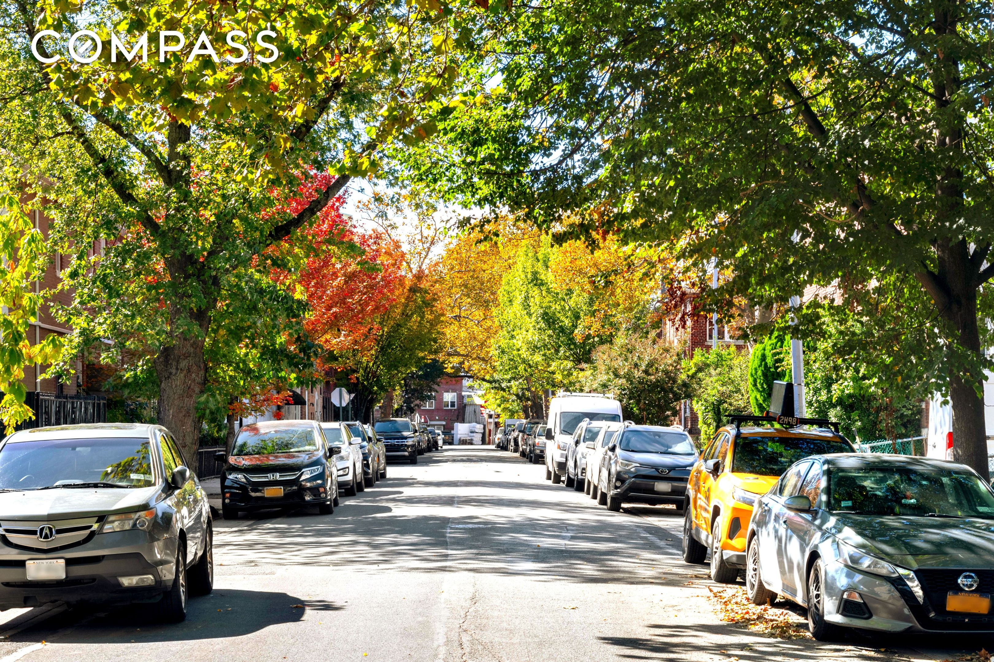 #21 photo, 71 Clara Street, 브루클린 Kensington , NY 11218