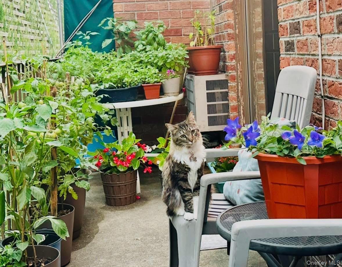 #1 photo, 6607 242nd Street, Little Neck , NY 11362