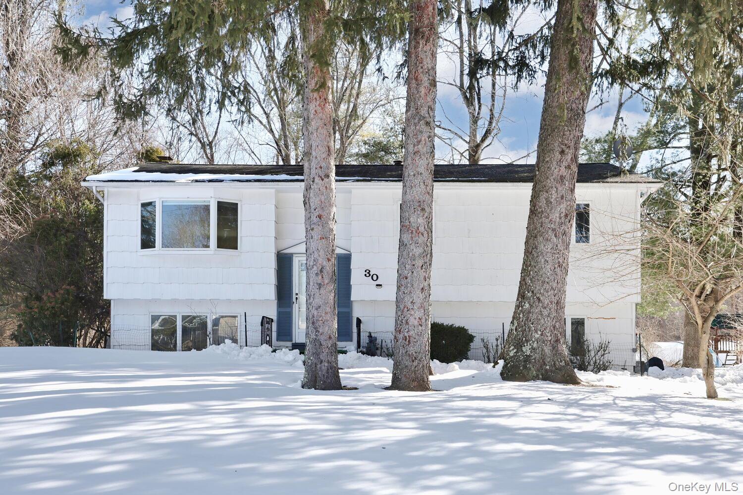 #1 photo, 30 Bridle Road, 纽约州 Spring Valley , NY 10977