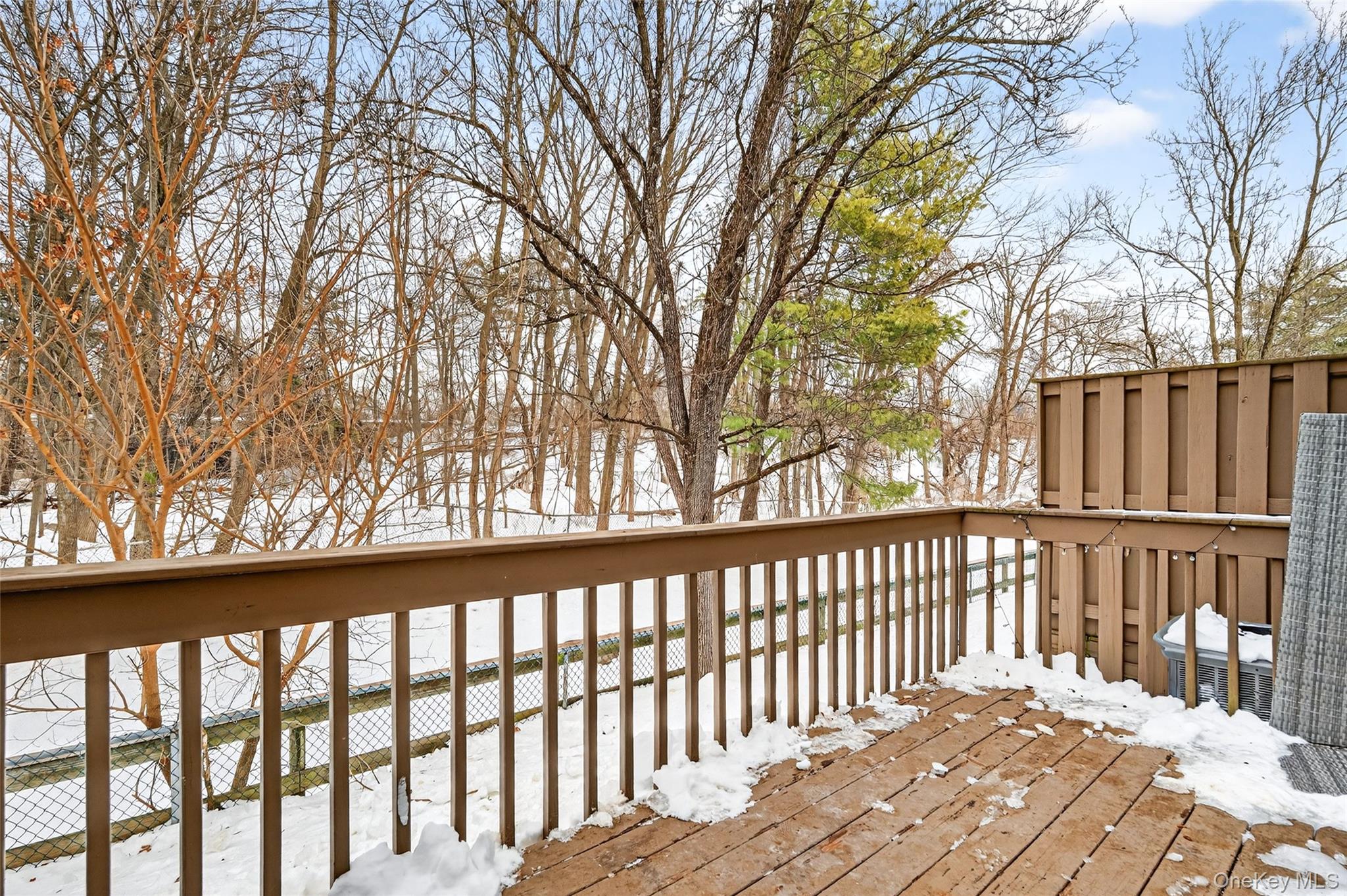 #11 photo, 16 Village Green, Bardonia , NY 10954