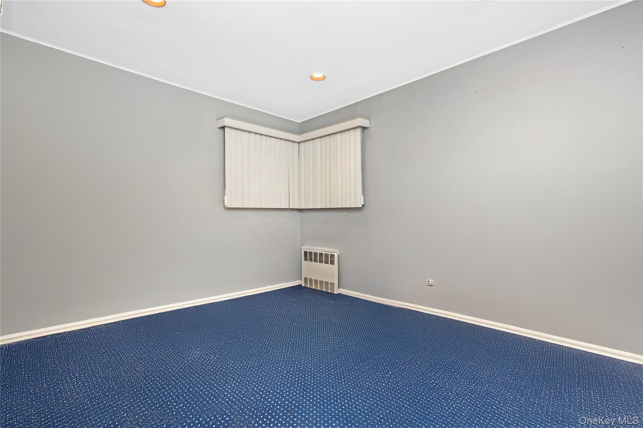 #14 photo, 43 Maplewood Drive, ناسو Plainview , NY 11803