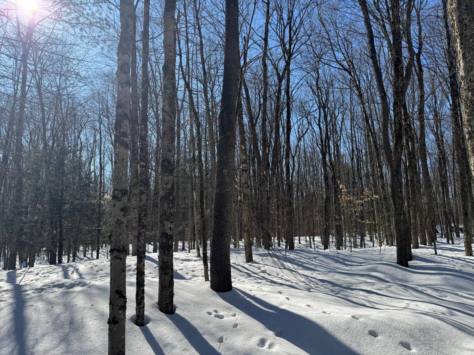 #10 photo, 00 Florence Hill Rd, Florence , NY 13316