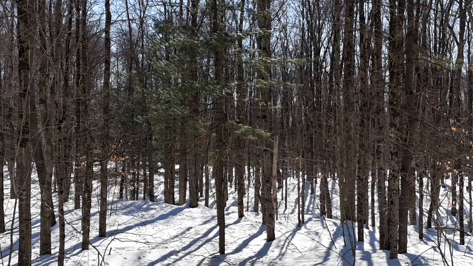 #13 photo, 00 Florence Hill Rd, Florence , NY 13316