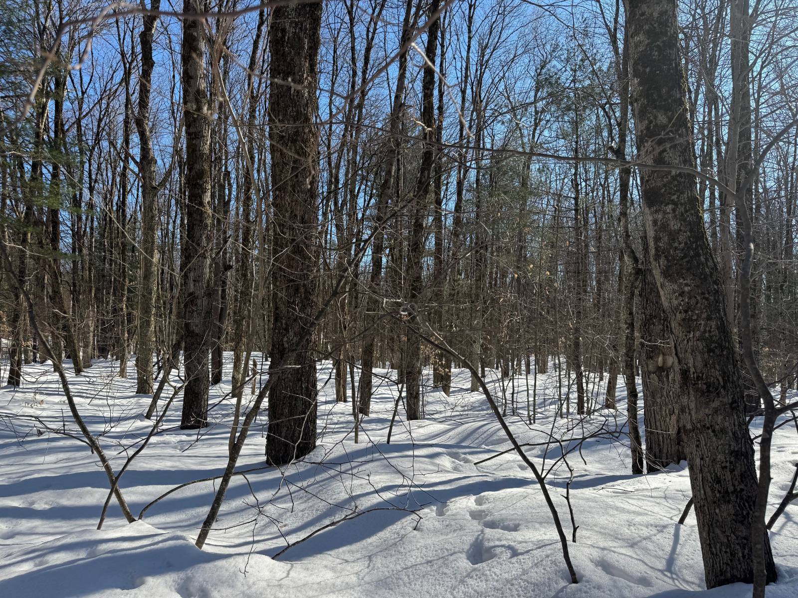 #14 photo, 00 Florence Hill Rd, Florence , NY 13316