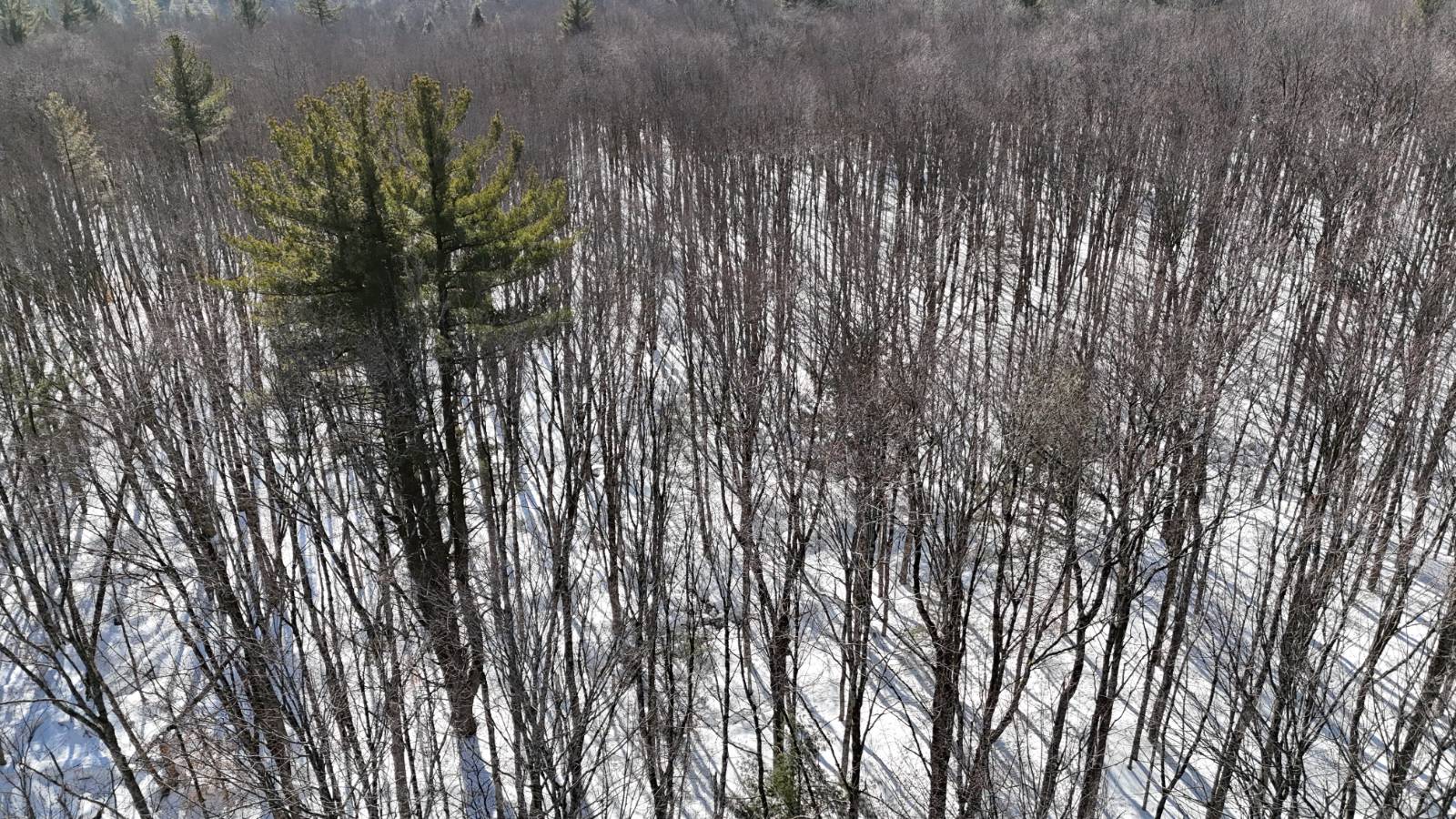 #15 photo, 00 Florence Hill Rd, Florence , NY 13316