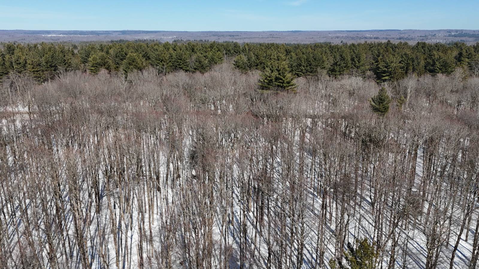 #16 photo, 00 Florence Hill Rd, Florence , NY 13316