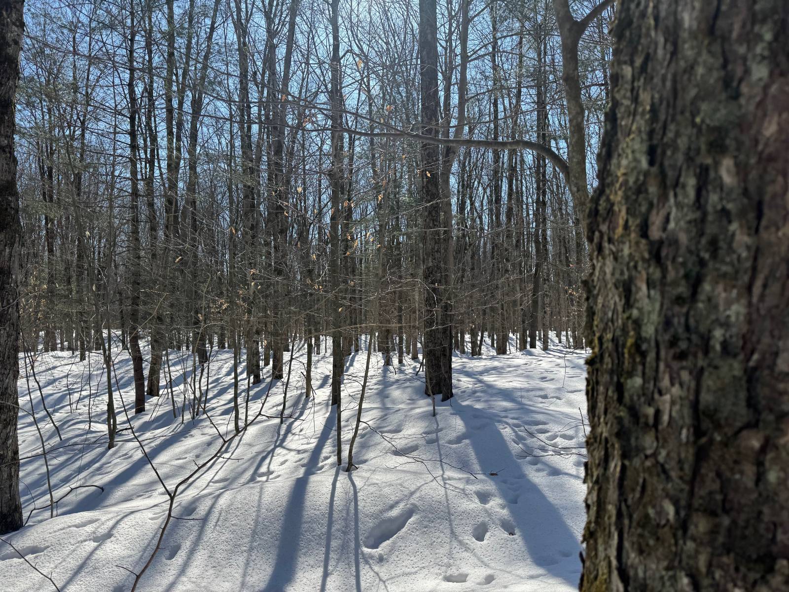 #17 photo, 00 Florence Hill Rd, Florence , NY 13316