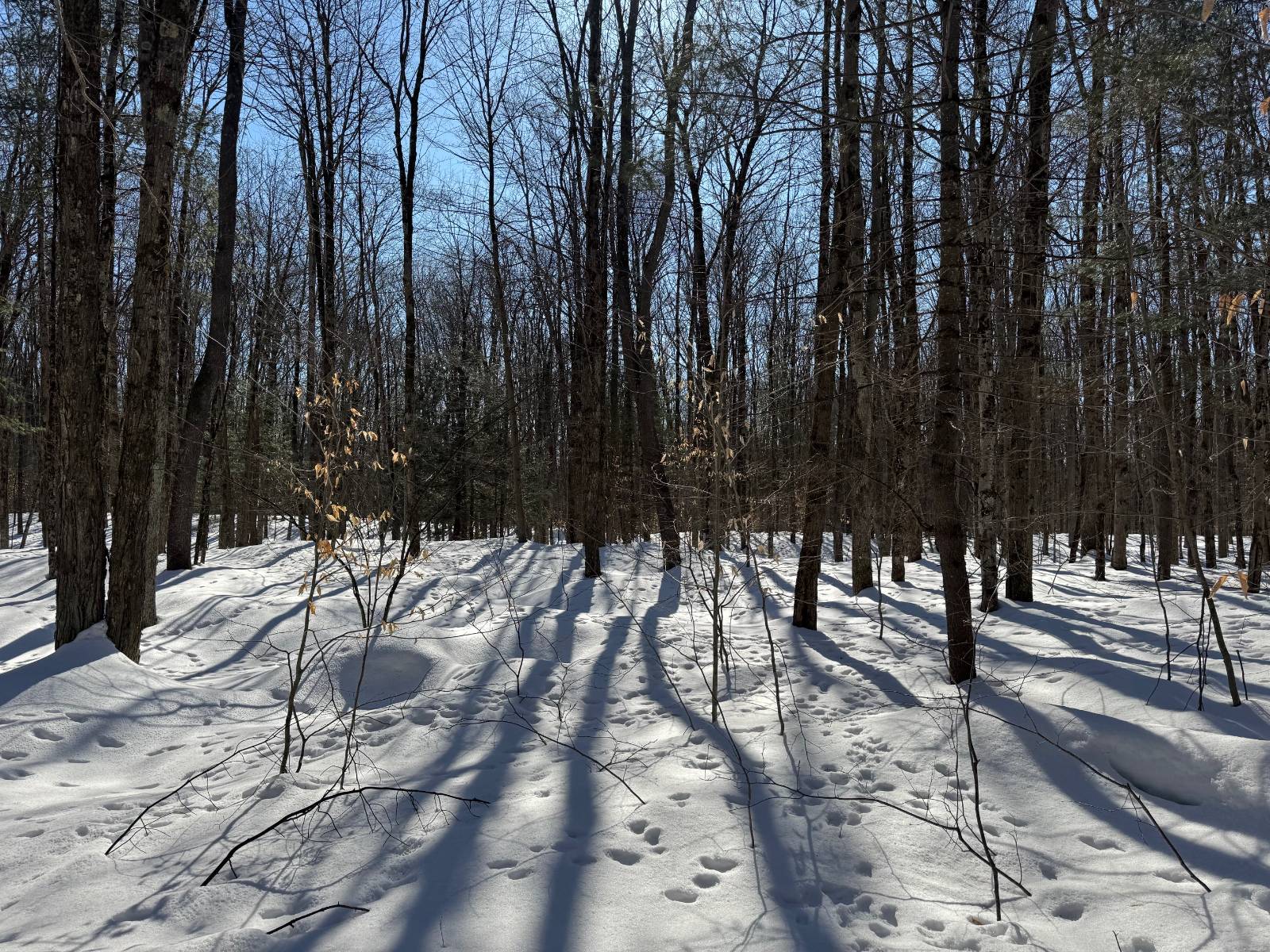 #19 photo, 00 Florence Hill Rd, Florence , NY 13316