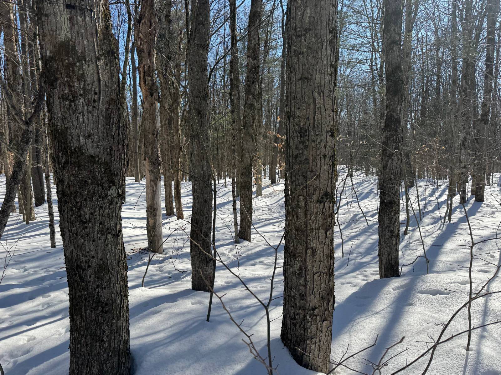 #2 photo, 00 Florence Hill Rd, Florence , NY 13316