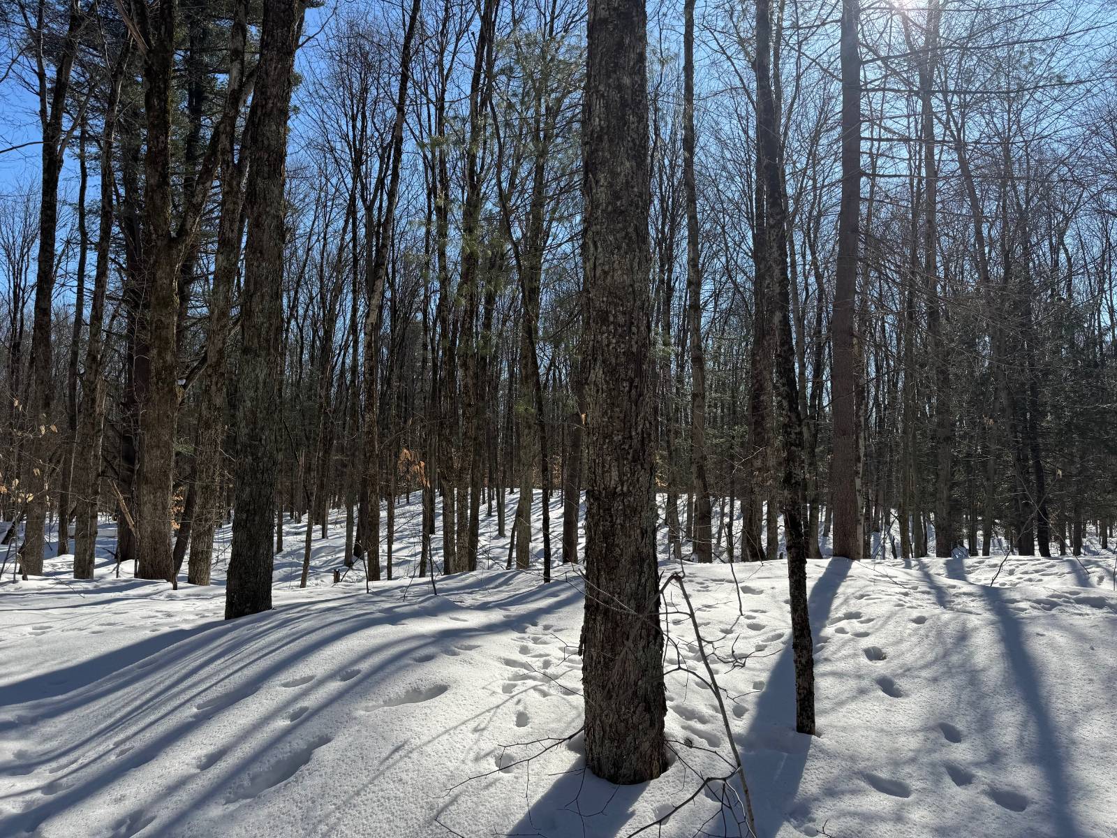 #21 photo, 00 Florence Hill Rd, Florence , NY 13316