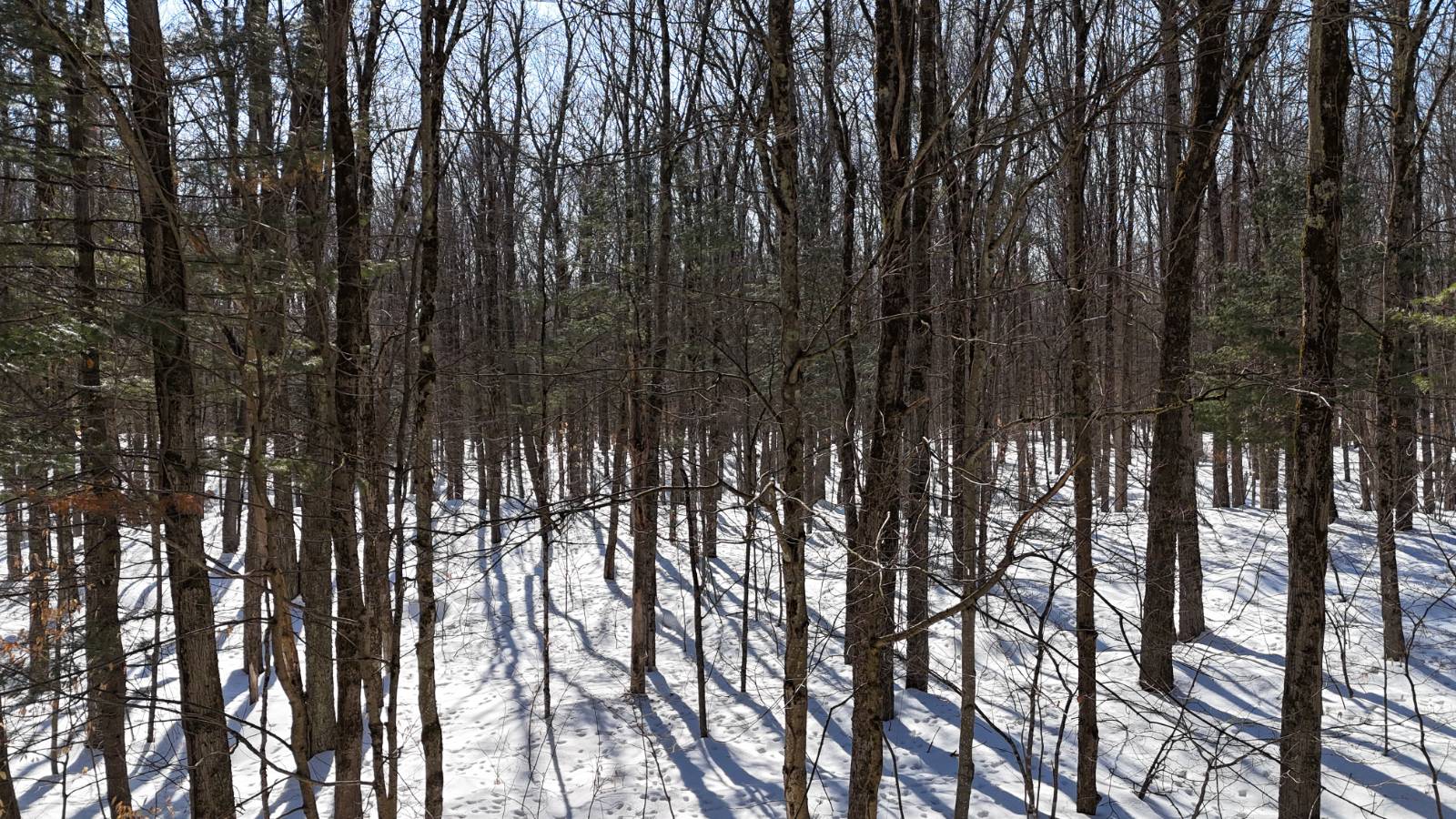 #26 photo, 00 Florence Hill Rd, Florence , NY 13316