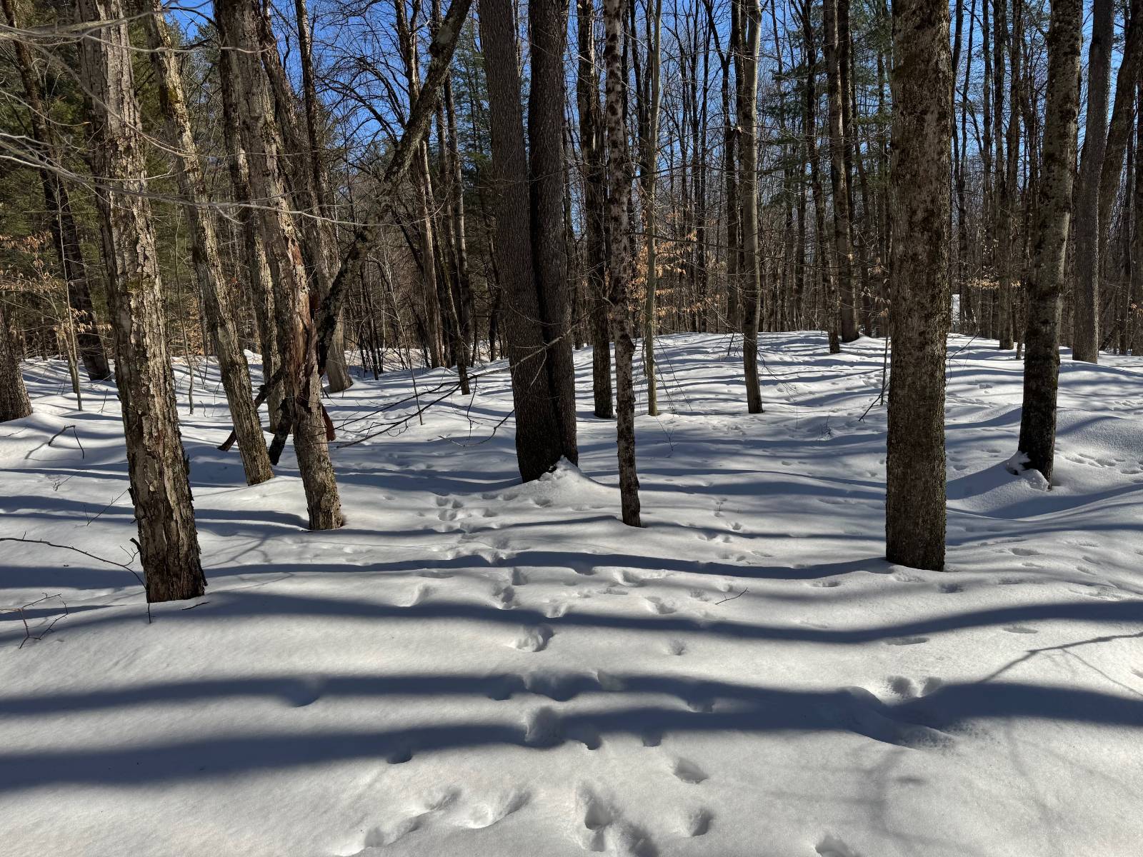 #5 photo, 00 Florence Hill Rd, Florence , NY 13316