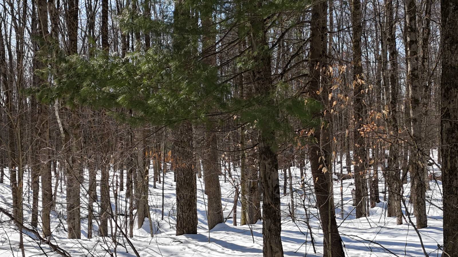 #6 photo, 00 Florence Hill Rd, Florence , NY 13316