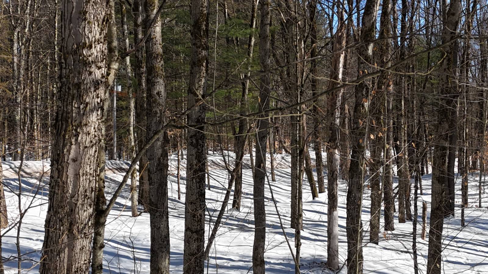 #7 photo, 00 Florence Hill Rd, Florence , NY 13316