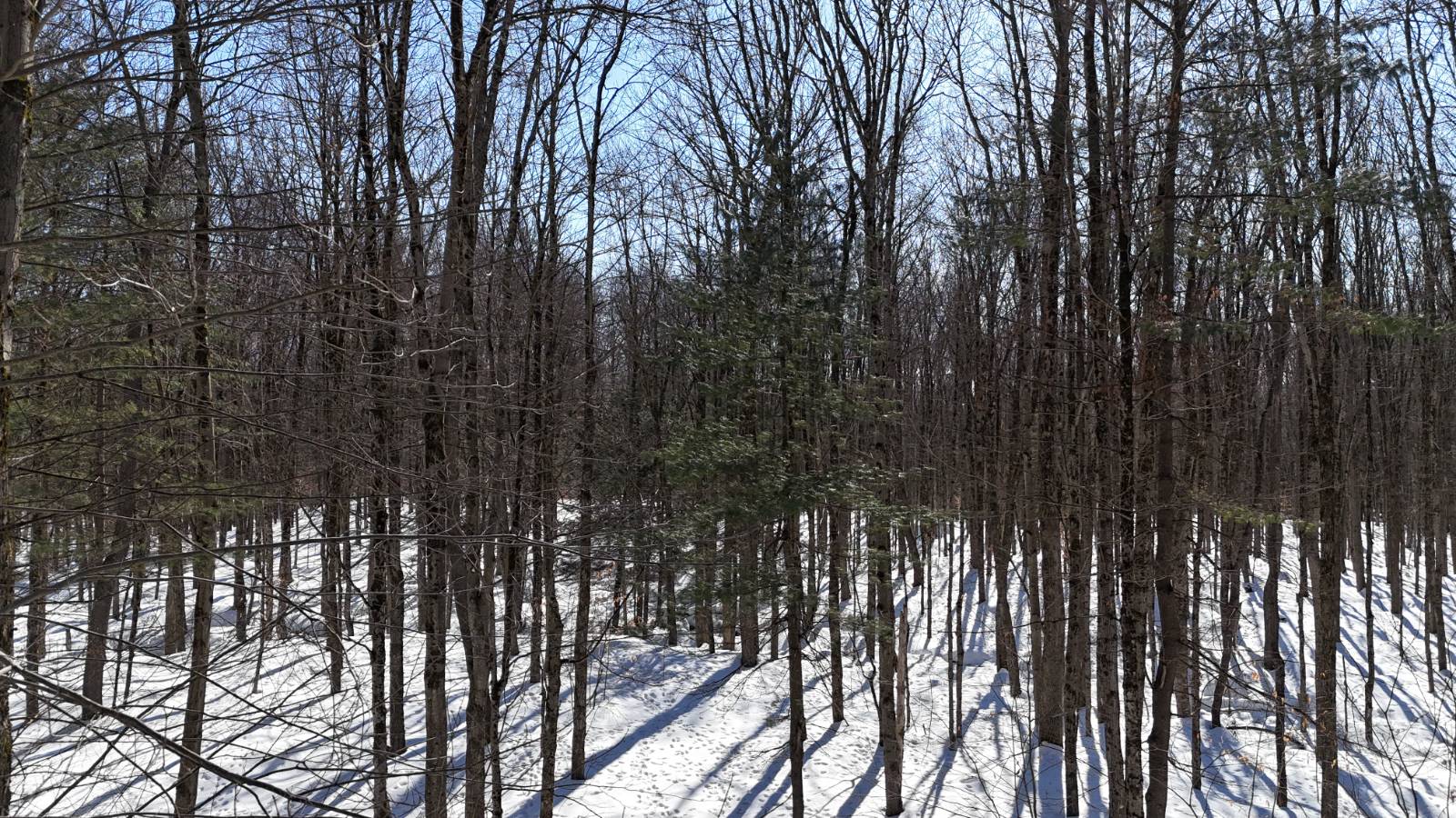 #8 photo, 00 Florence Hill Rd, Florence , NY 13316