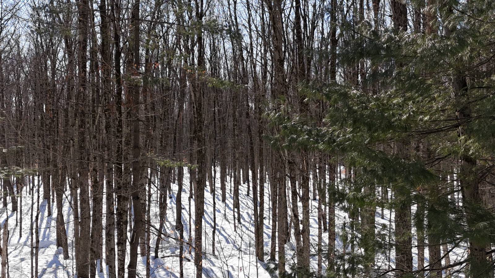 #9 photo, 00 Florence Hill Rd, Florence , NY 13316