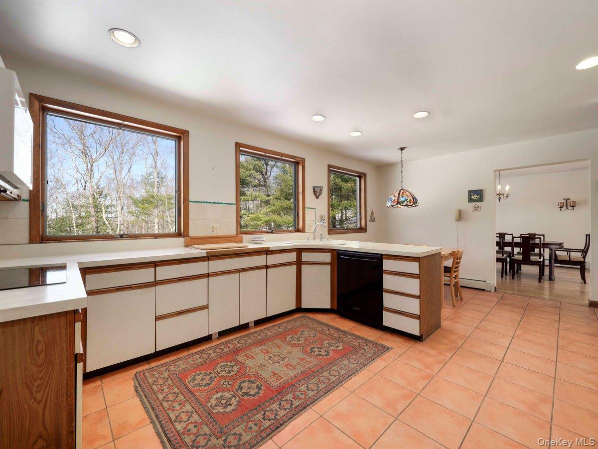 #8 photo, 118 Split Rock Drive, Barryville , NY 12719