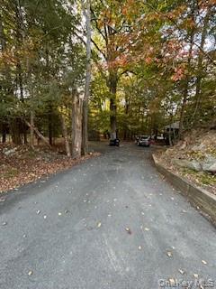 #12 photo, 9 Cardiff, 纽约州 Rock Hill , NY 12775