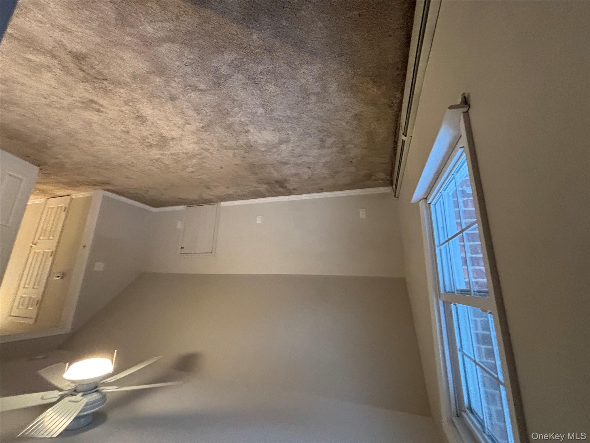 #7 photo, West Babylon, West Babylon , NY 11704